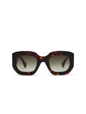 Lentes de Sol Scotch & Soda Aviv Mujer Marrom | SN-SAS56903