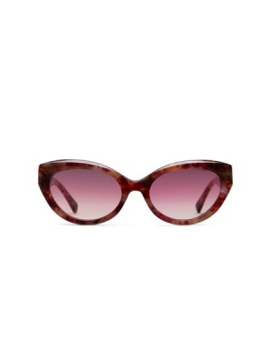 Lentes de Sol Scotch & Soda Otto Mujer Morados Grises | SN-SAS56899